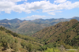 Feudo Mitogio
